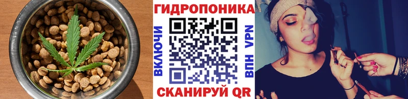 дарнет шоп  Лениногорск  Печенье с ТГК конопля 