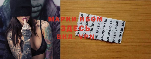 ПСИЛОЦИБИНОВЫЕ ГРИБЫ Алзамай