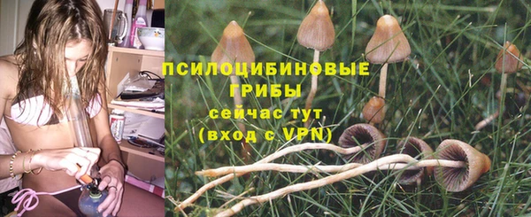гидра Алексин