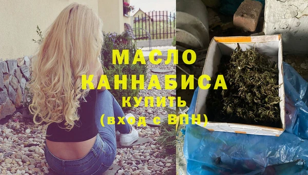 mdpv Ельня