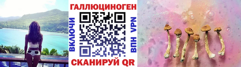 купить  цена  Лениногорск  Галлюциногенные грибы Psilocybe 